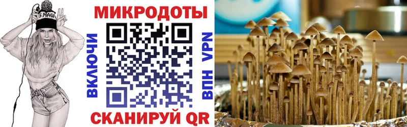 blacksprut рабочий сайт  Архангельск  Псилоцибиновые грибы GOLDEN TEACHER  что такое  