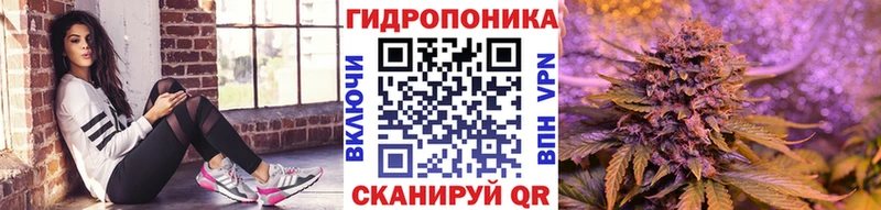 Марихуана конопля  как найти закладки  Архангельск 